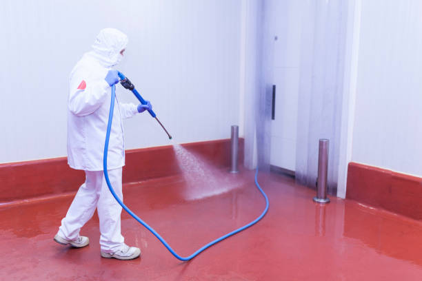 Best Pre-Holiday Cleaning  in Wilkinsburg, PA